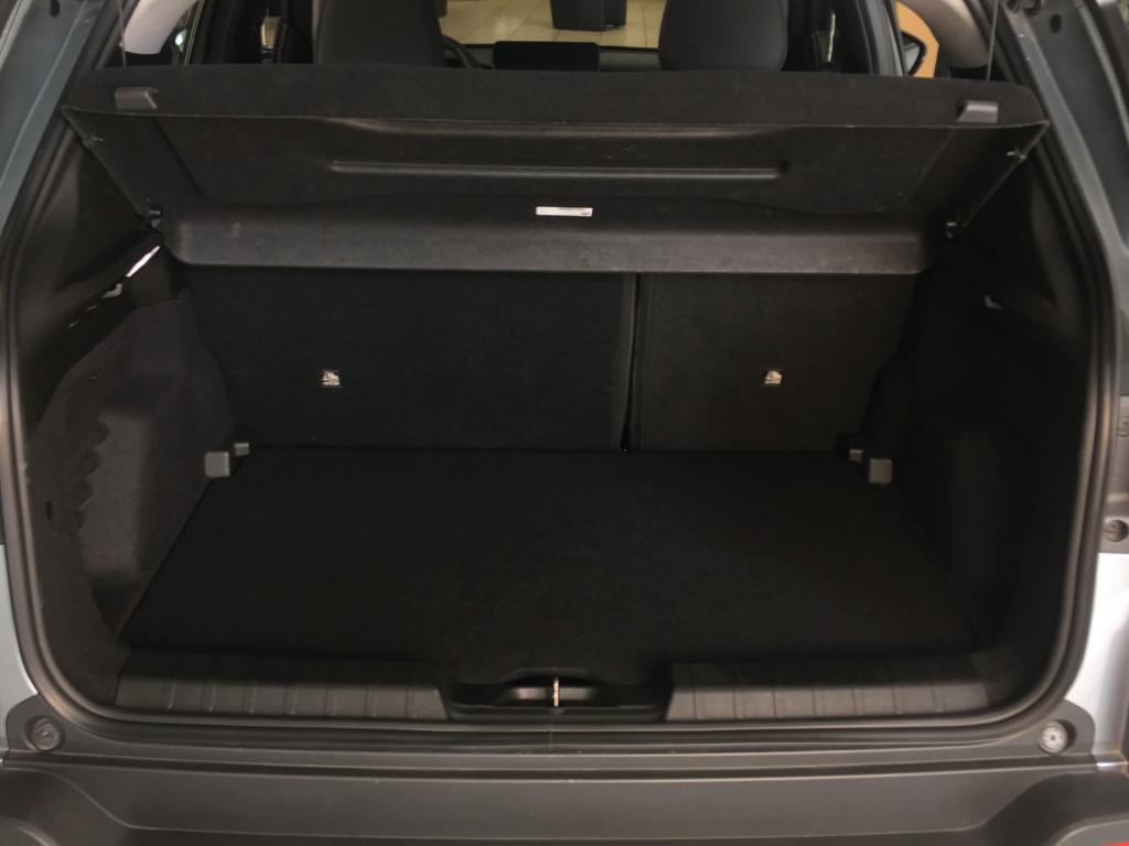 Trunk