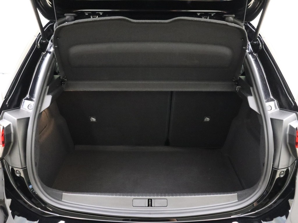 Trunk