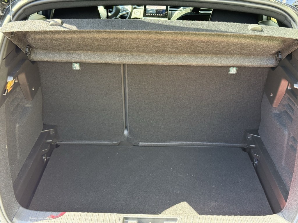 Trunk