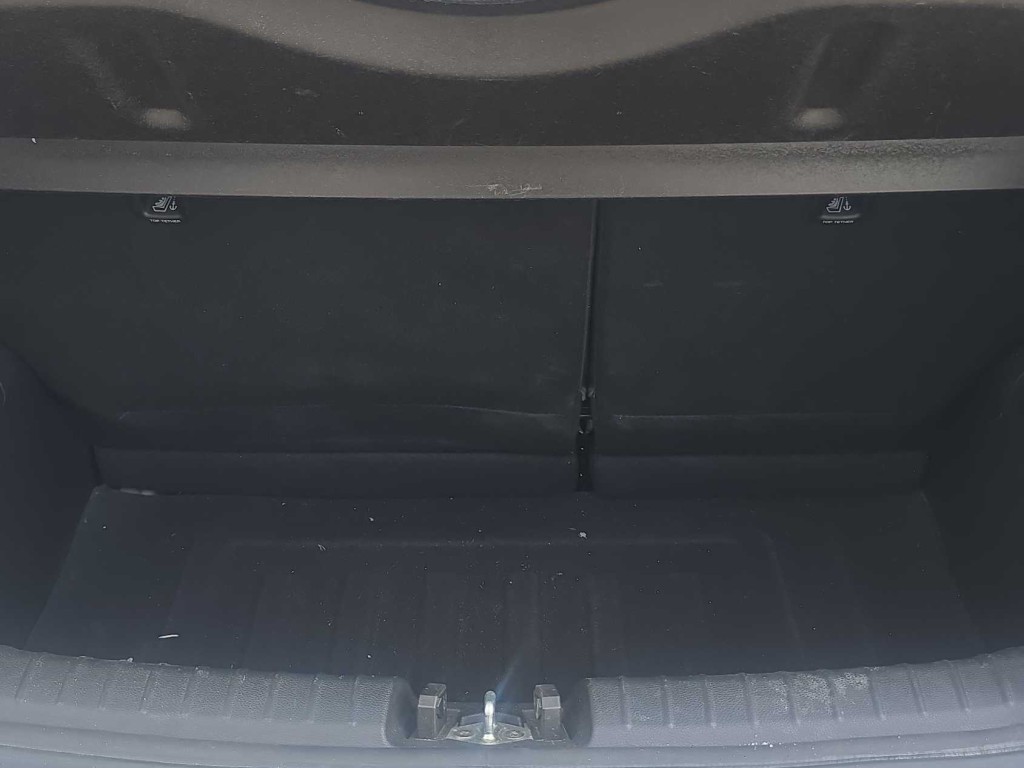 Trunk