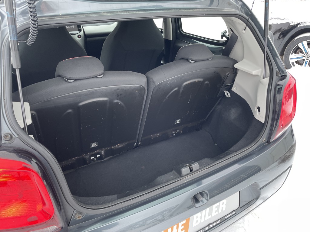 Trunk
