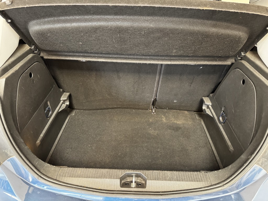 Trunk
