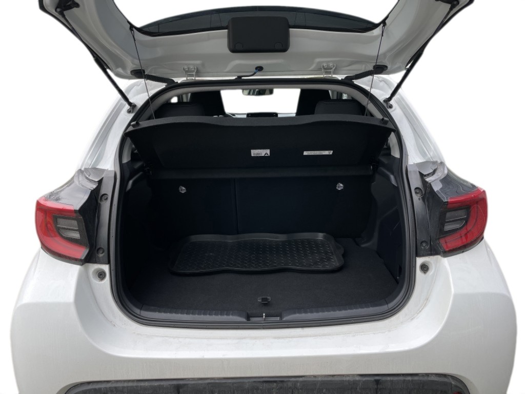 Trunk