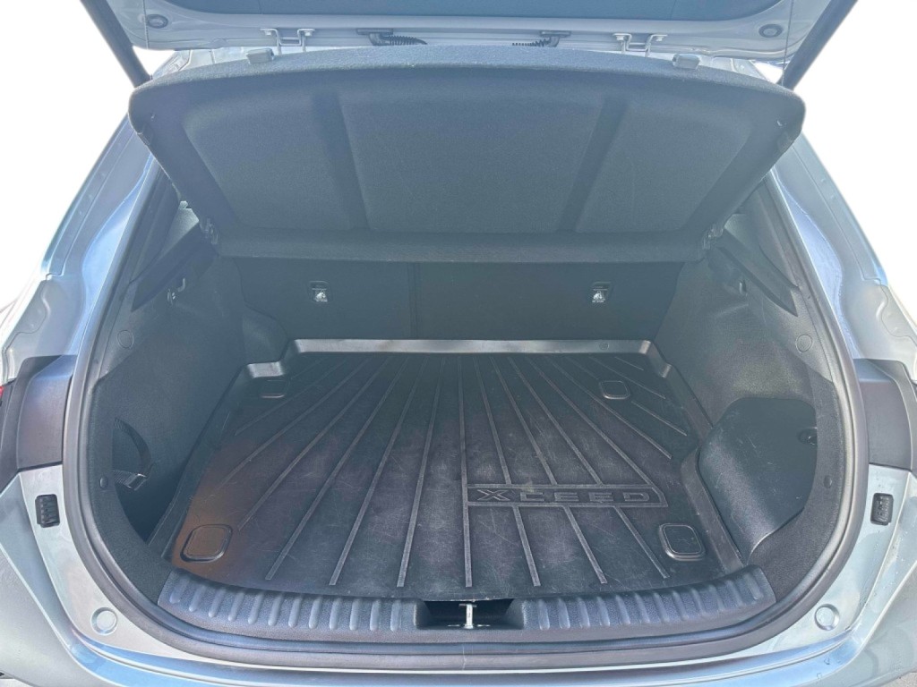 Trunk