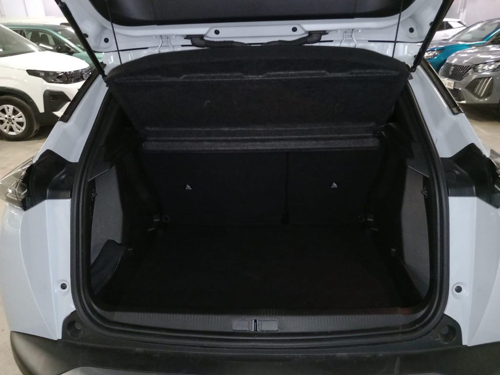 Trunk