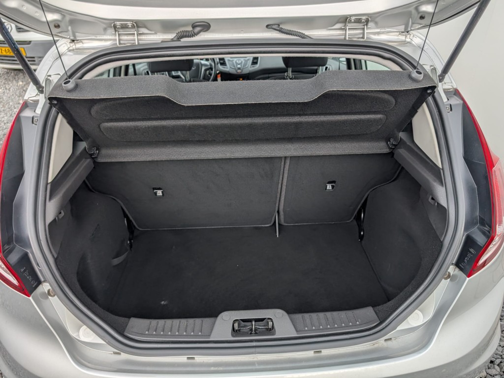 Trunk