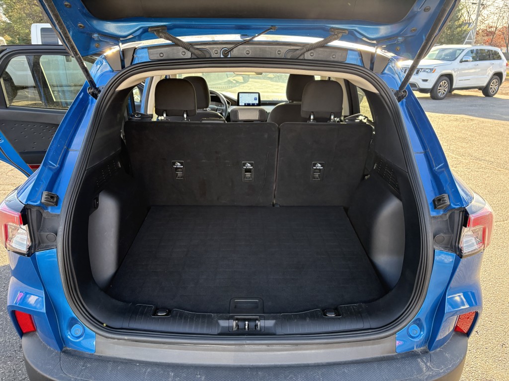 Trunk