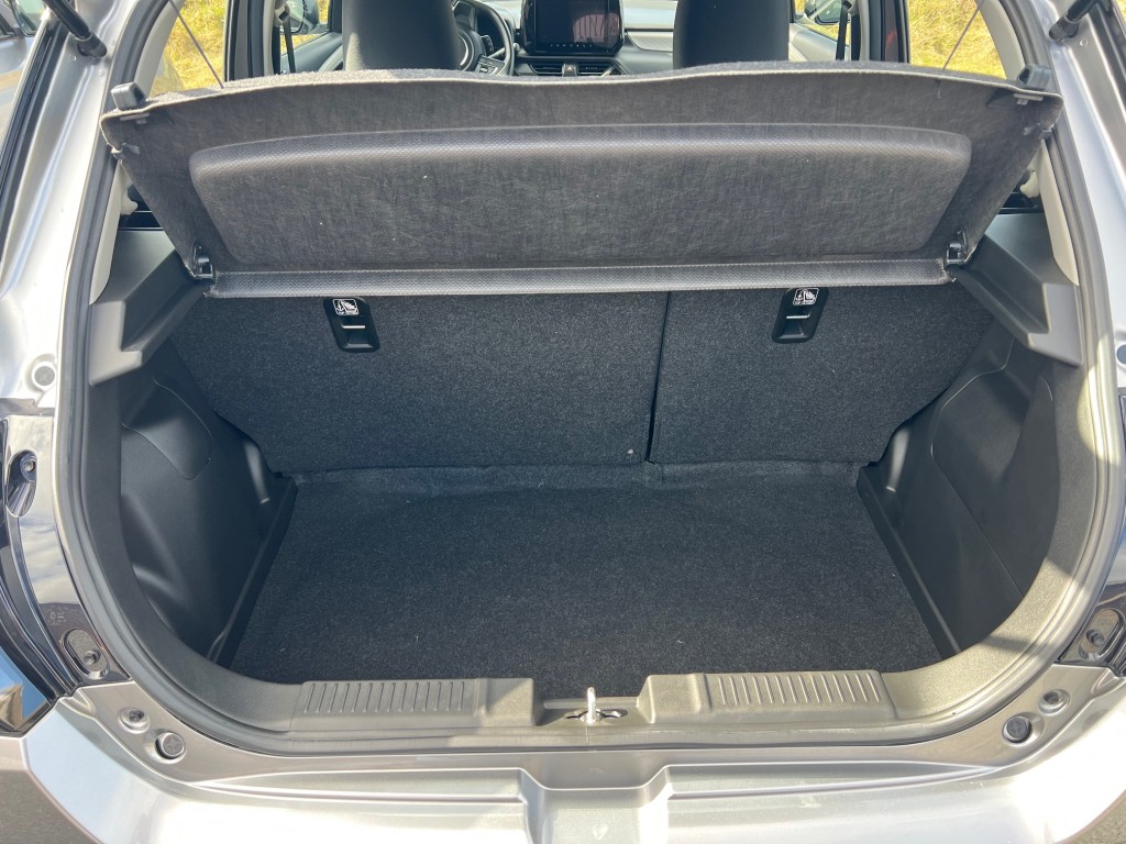 Trunk
