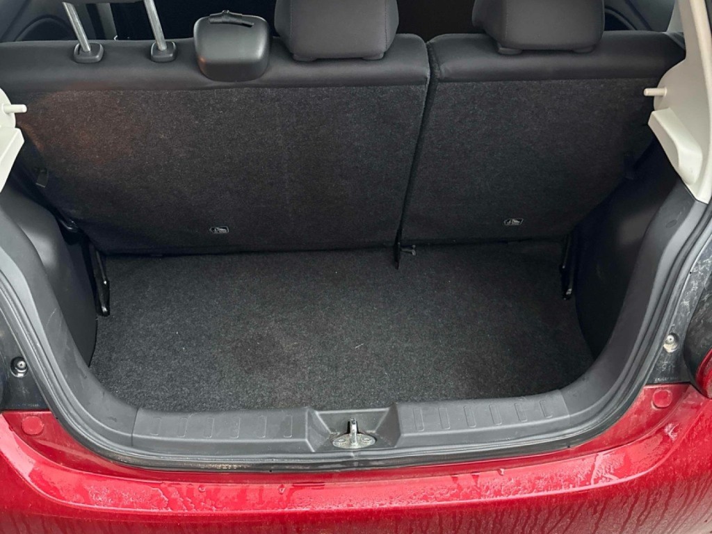 Trunk