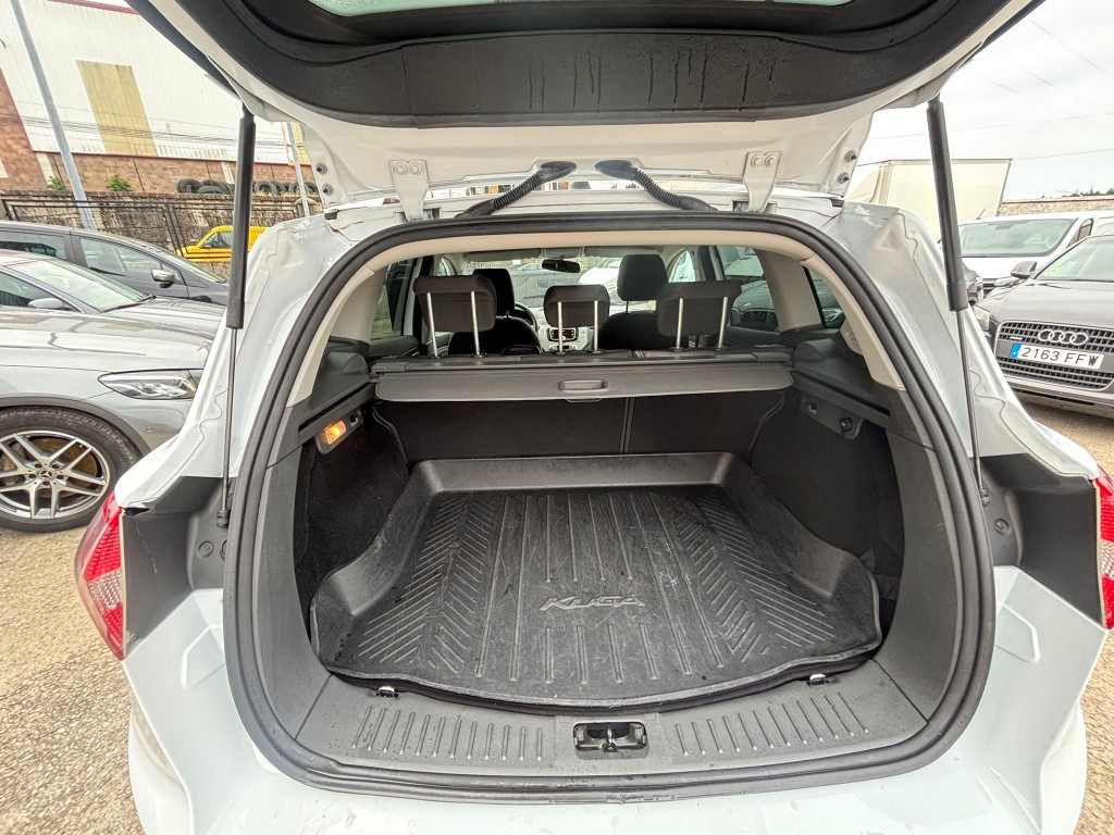 Trunk