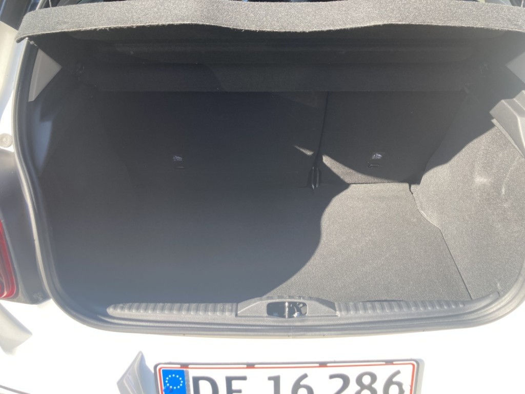Trunk