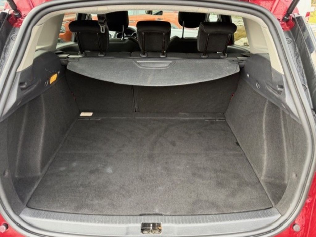Trunk