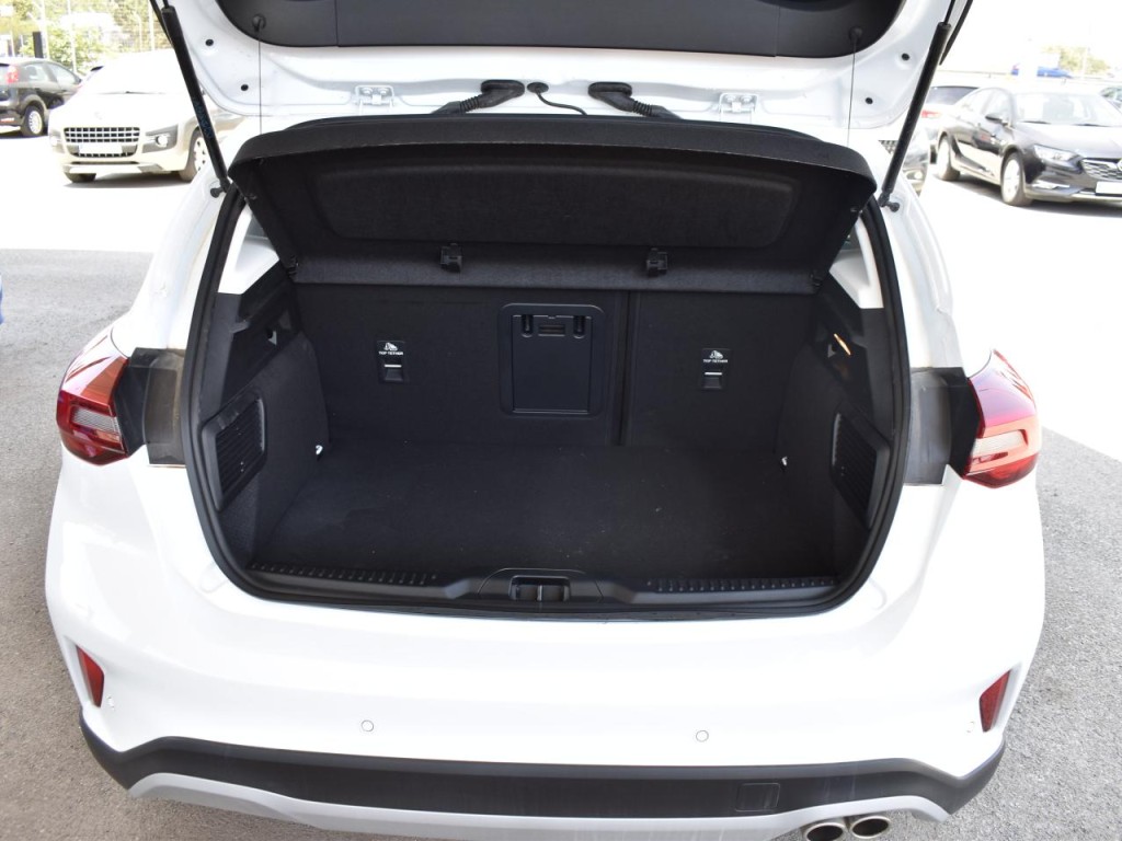 Trunk