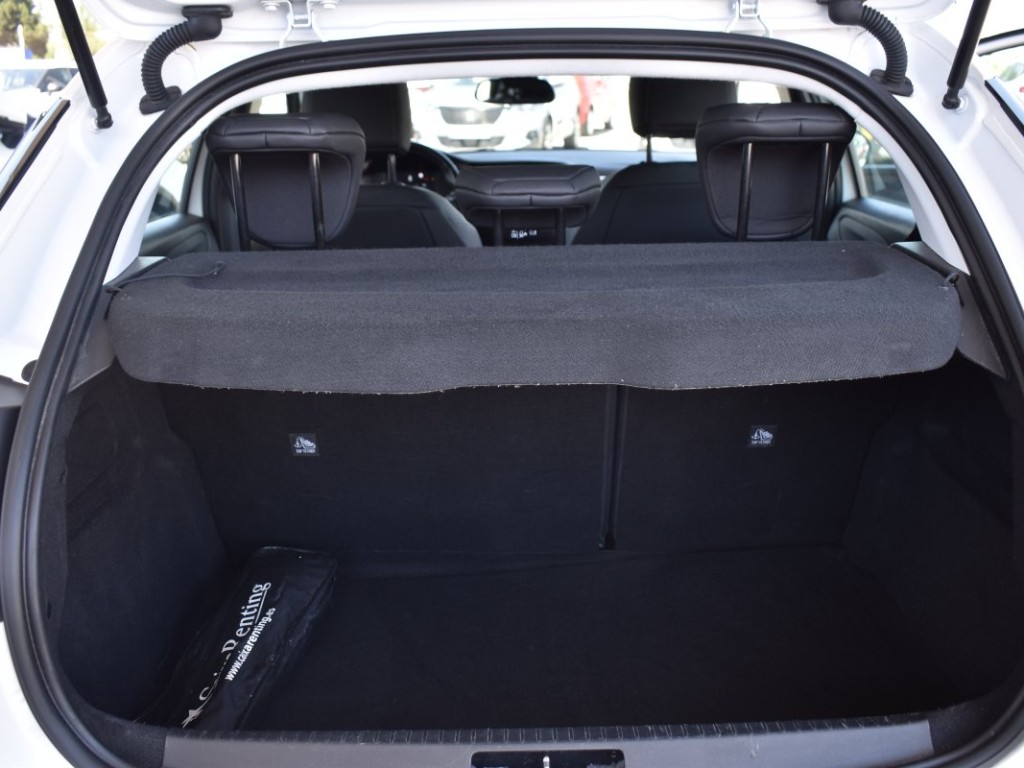 Trunk