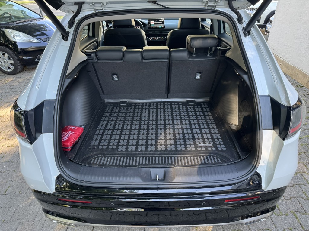 Trunk