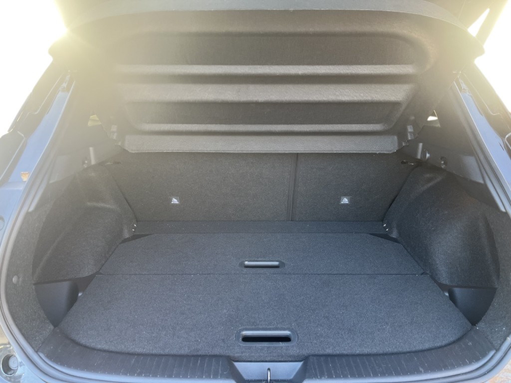 Trunk