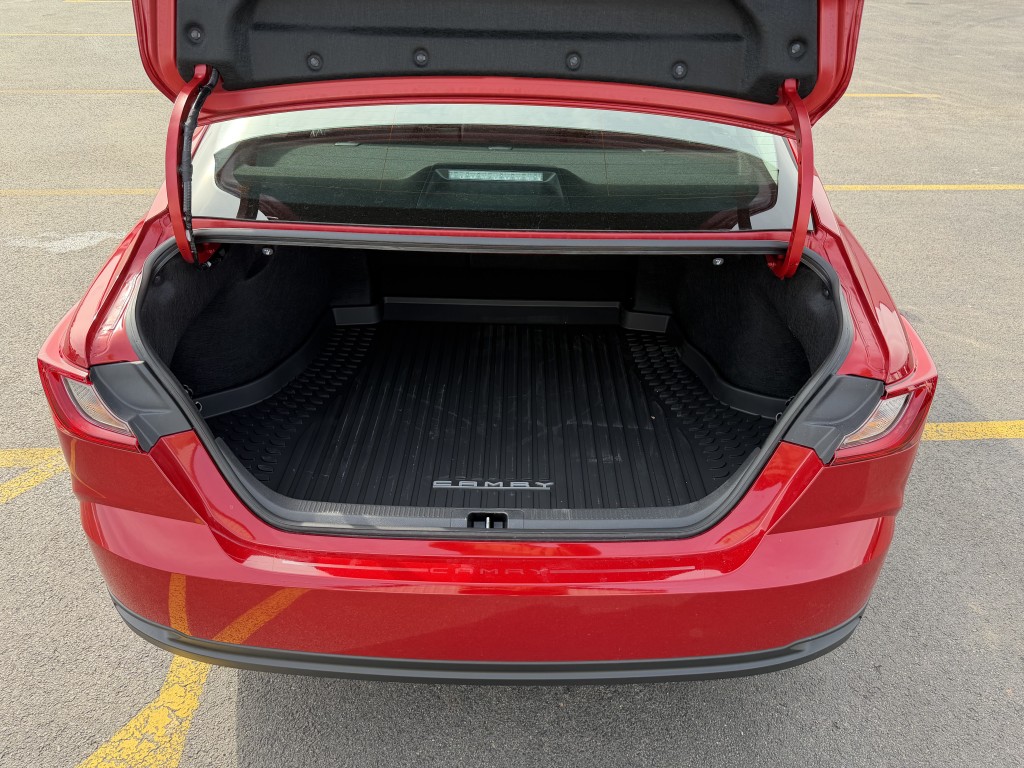 Trunk