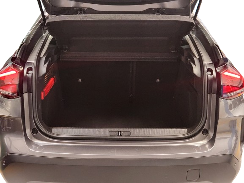 Trunk