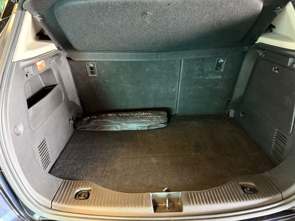 Trunk