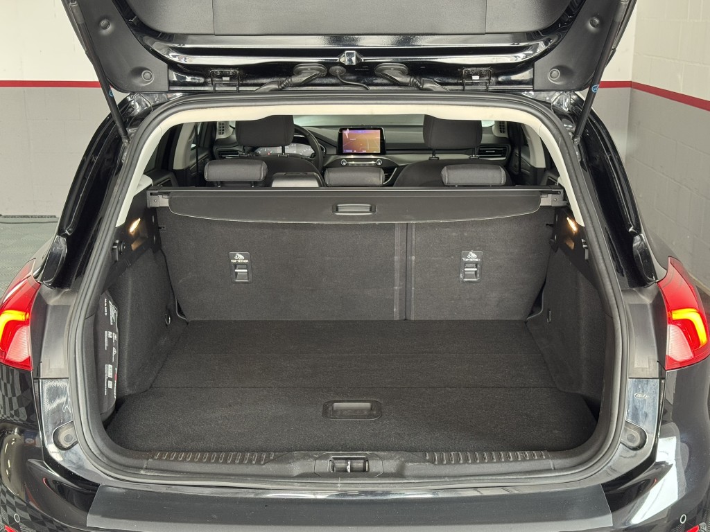 Trunk