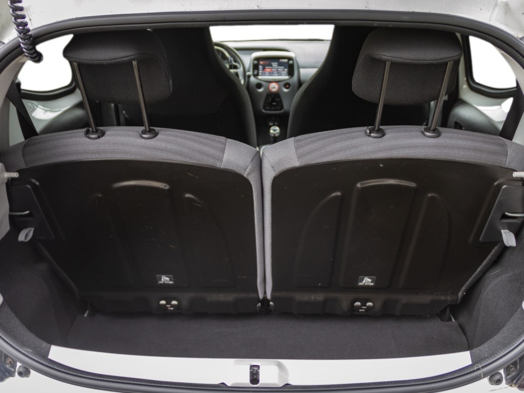 Trunk