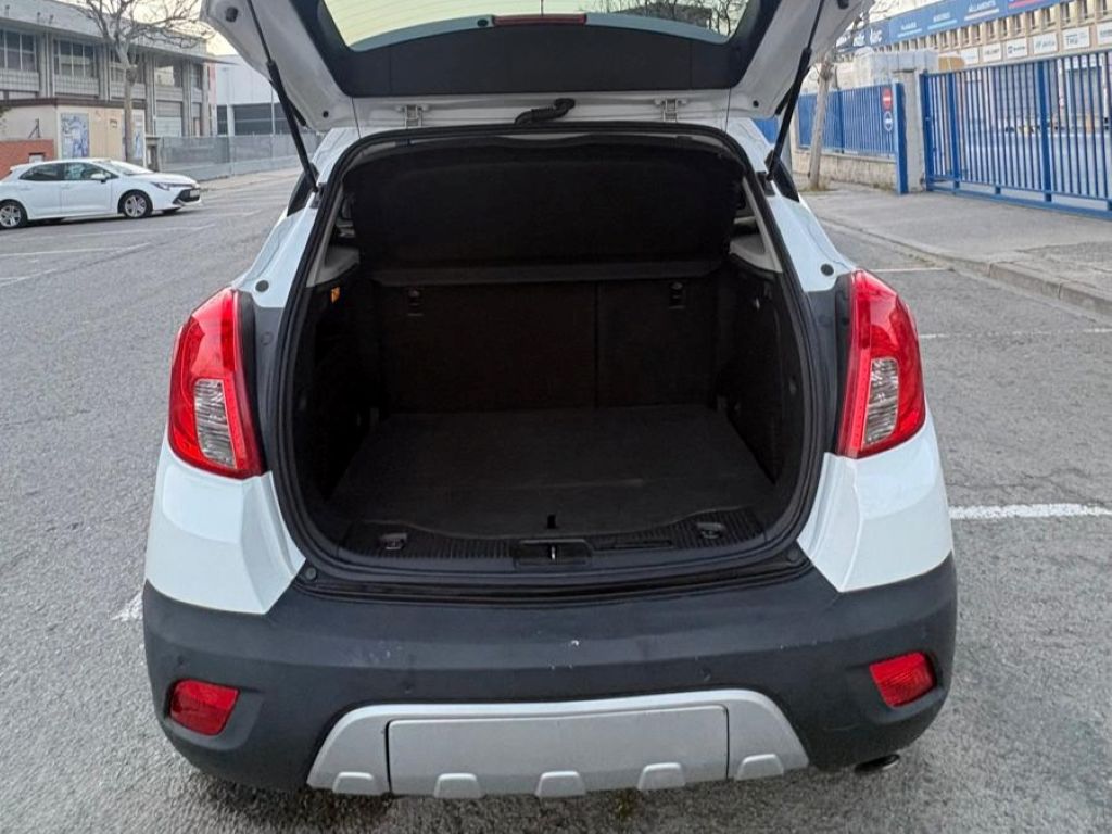 Trunk
