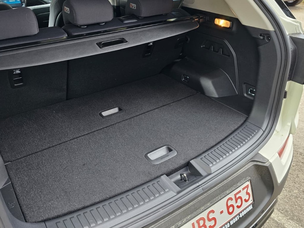 Trunk