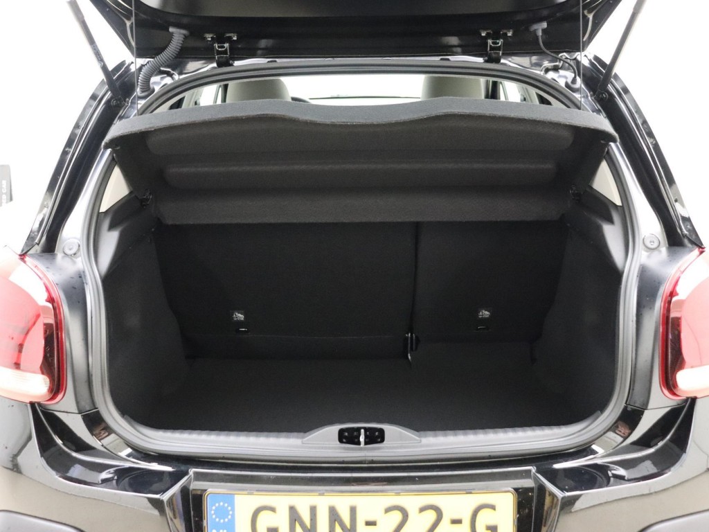 Trunk