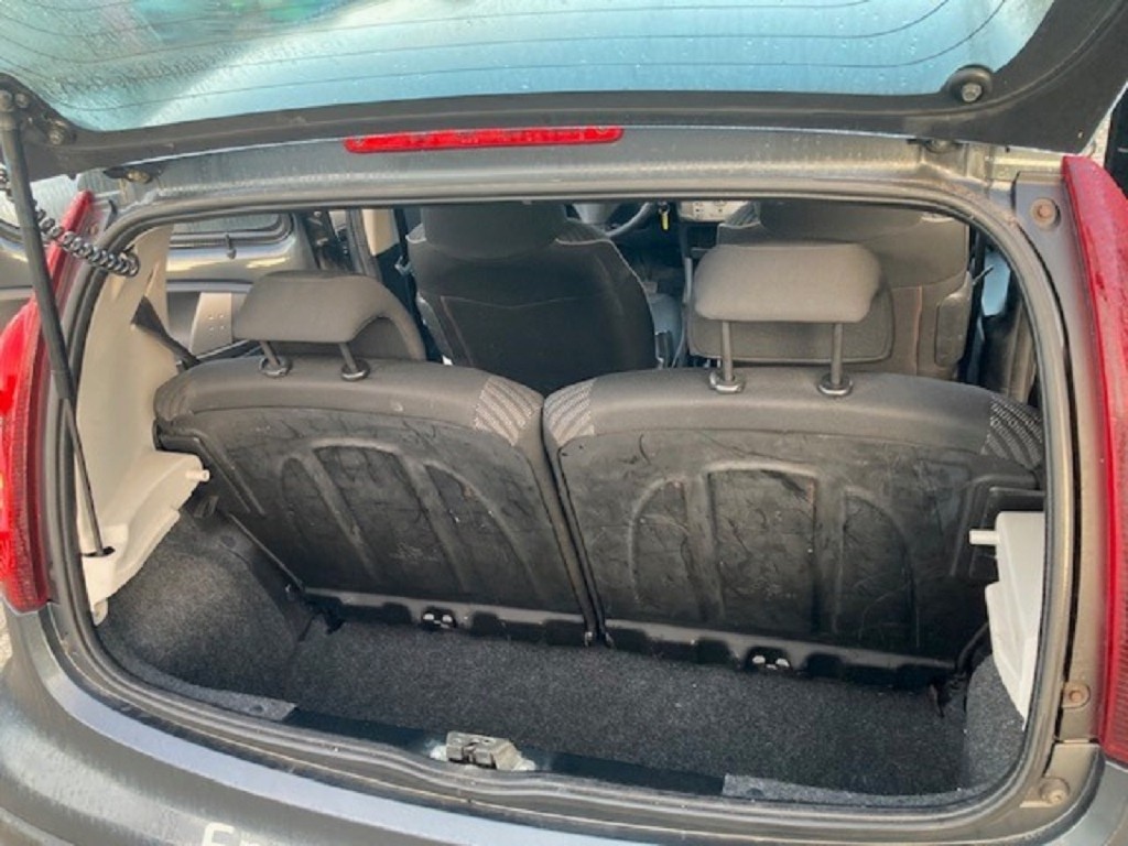 Trunk