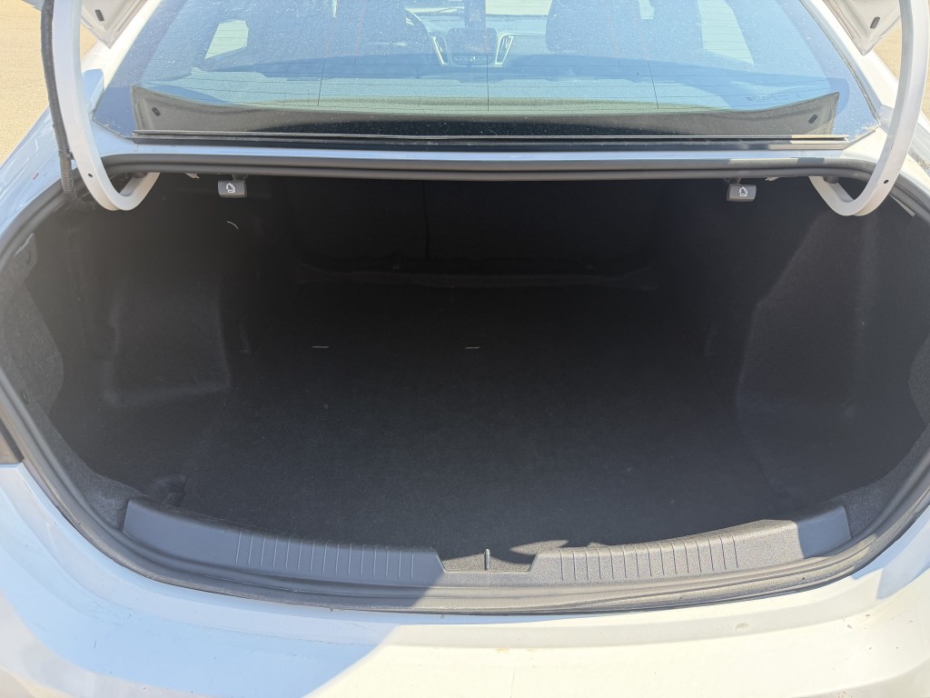 Trunk