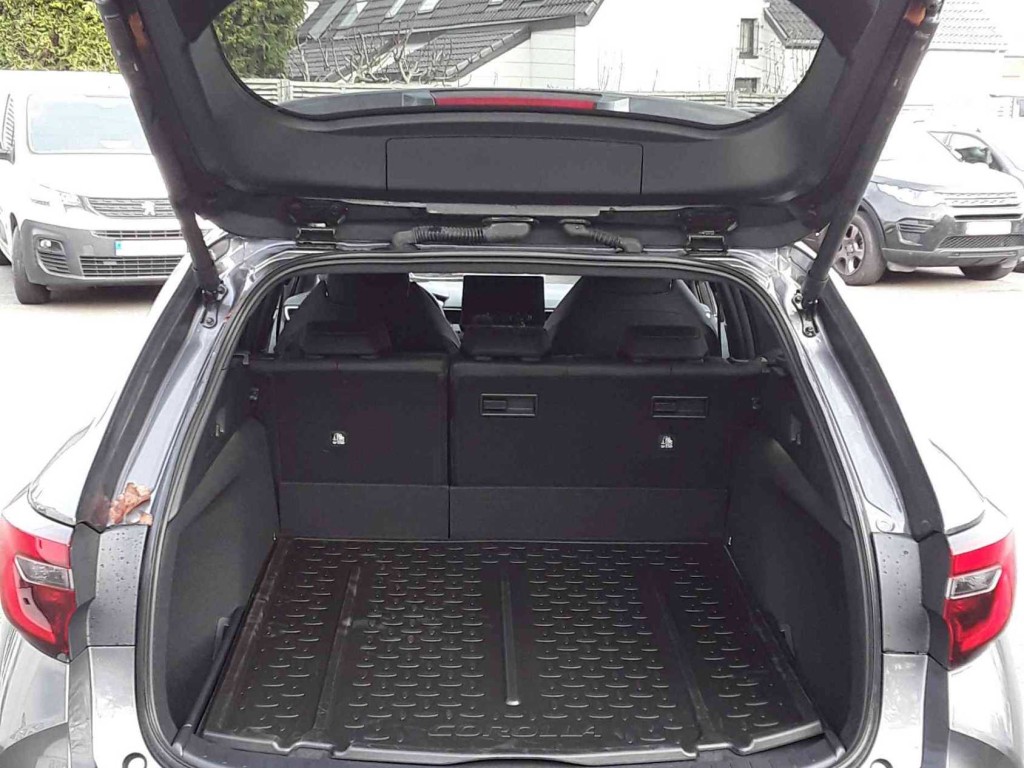 Trunk