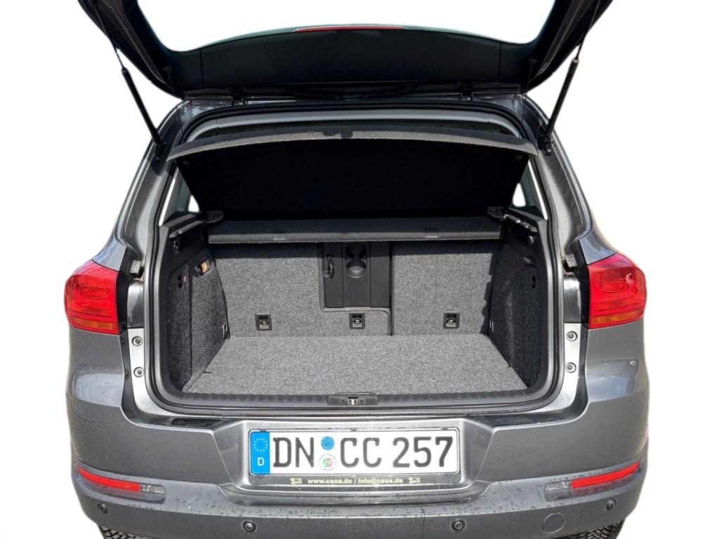 Trunk