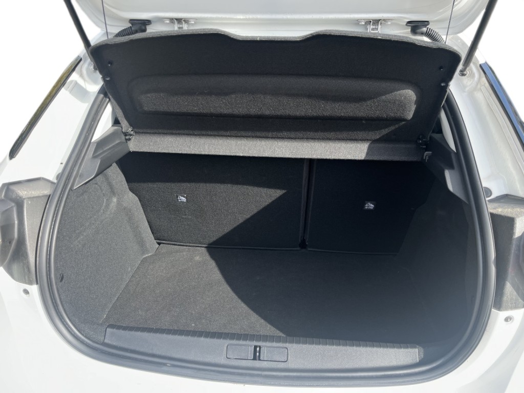 Trunk