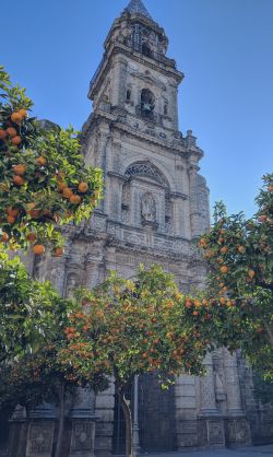 Jerez de la Frontera